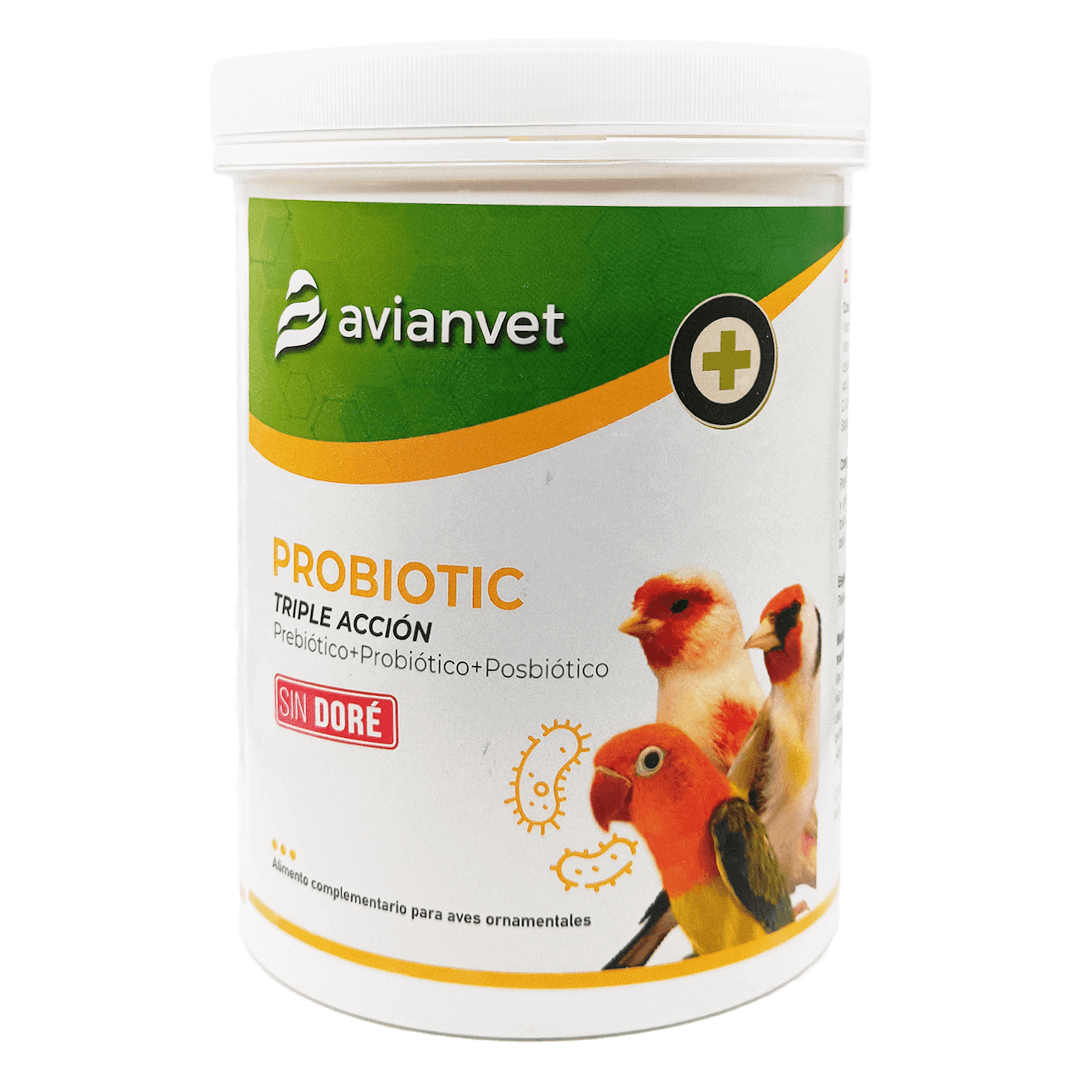 Enhancing Captive Bird Health The Power of Prebiotics, Probiotics, and